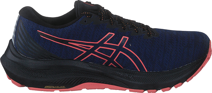 Gt-2000 11 Gtx Black/indigo Blue
