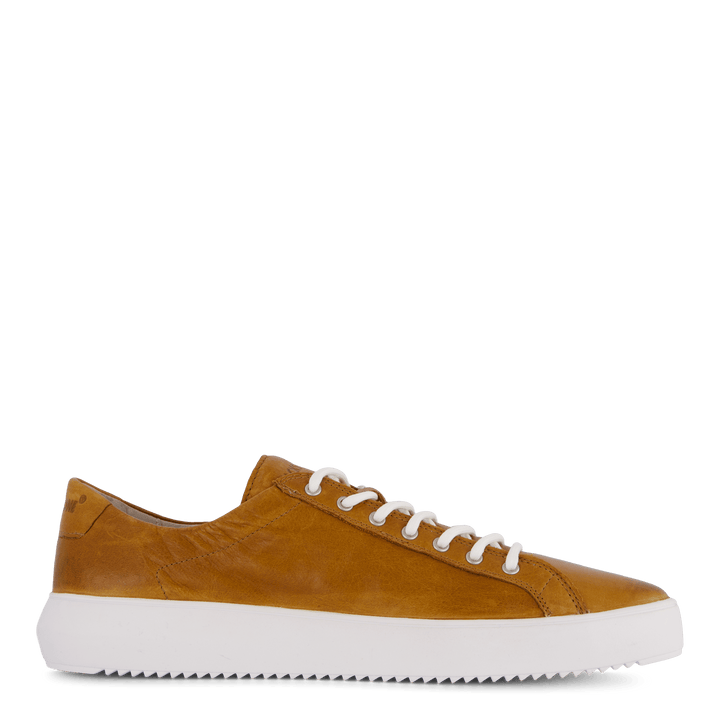 Zg18 Rust