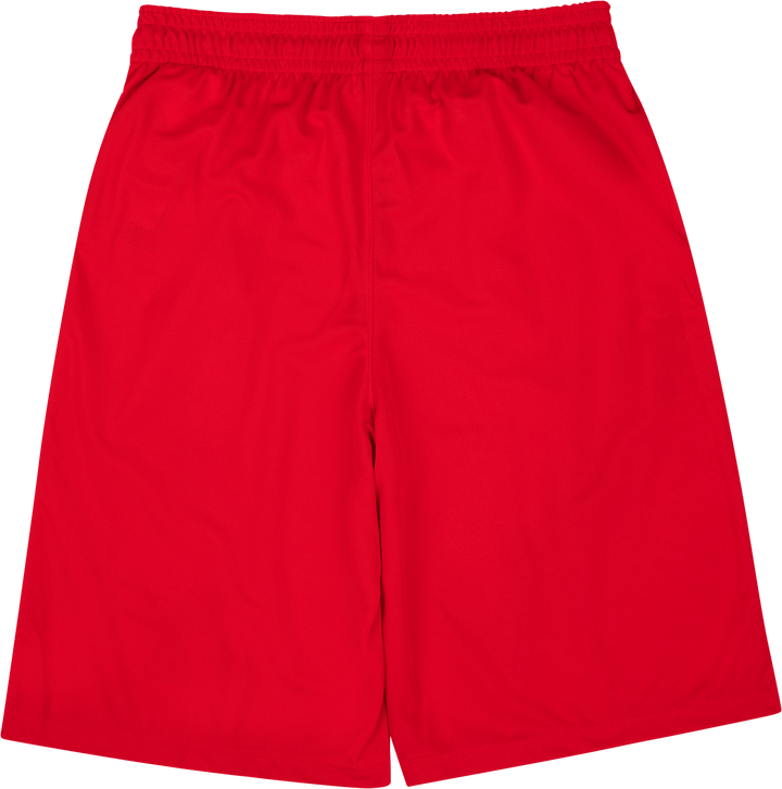 UA Perimeter 11'' Short