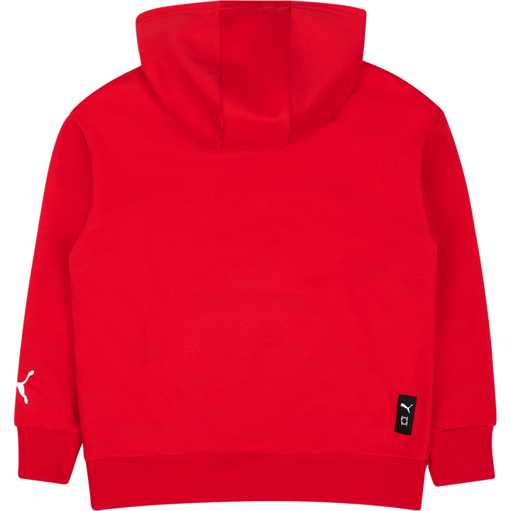 Felpa da basket con cappuccio Posterize Fl Red