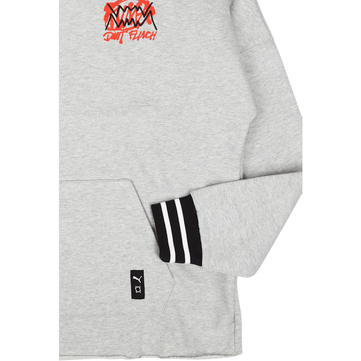 Felpa con cappuccio Boroughs grigio
