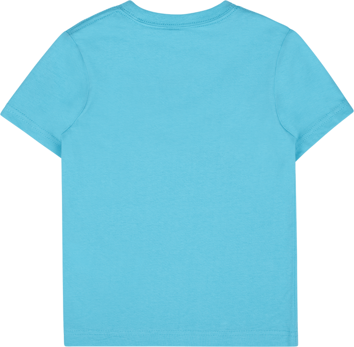 Nkn N Nsw Hbr Icon Short Set Birke Heather