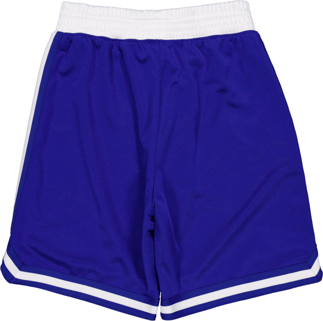 Authentic Shorts 2005 Royal