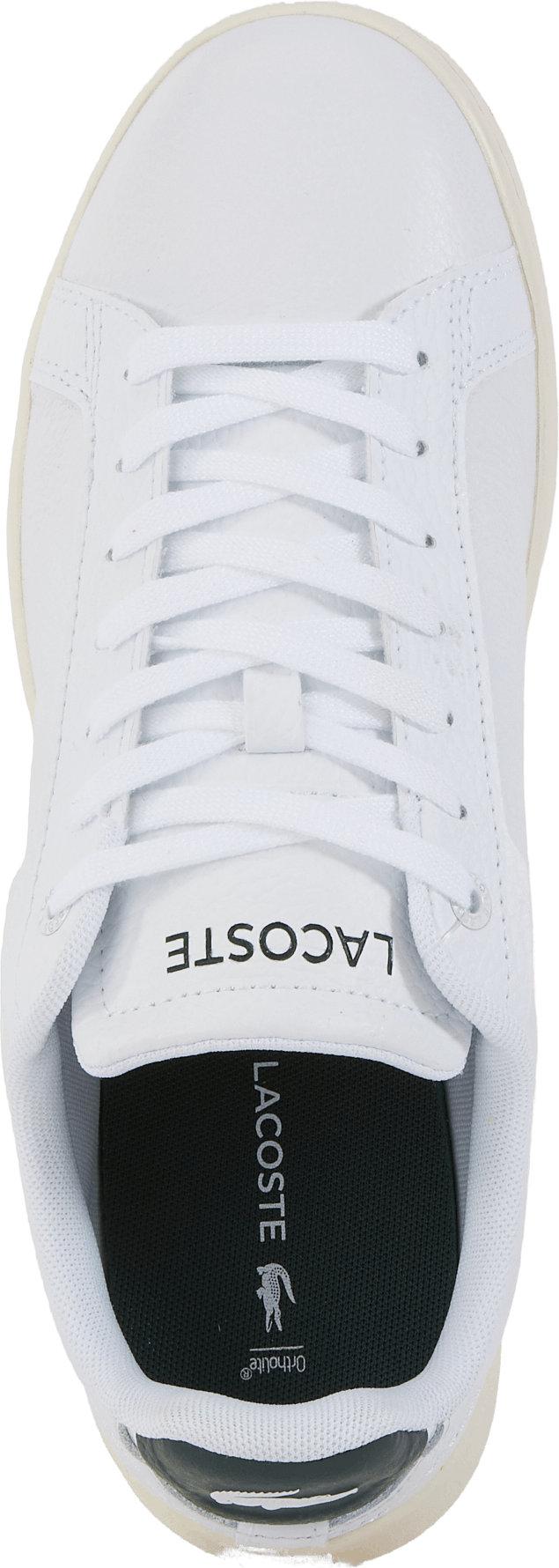 Carnaby Pro Sneaker Valkoinen, tummanvihreä