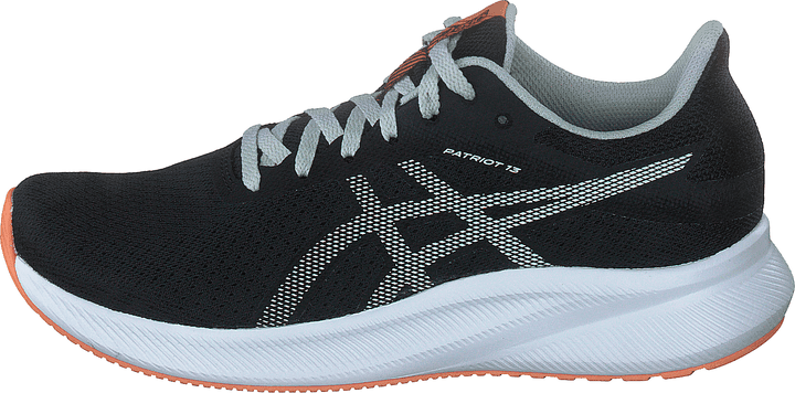 Patriot 13 Black/light Sage