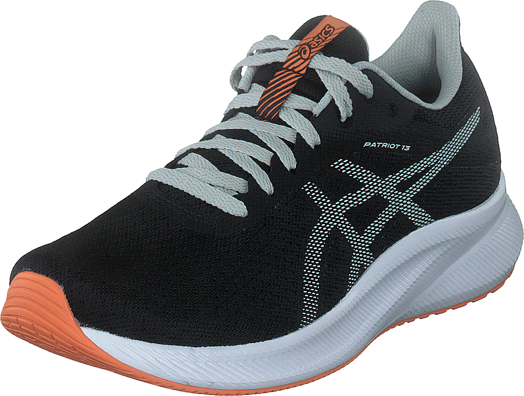 Patriot 13 Black/light Sage