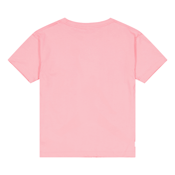 Big Jumpman Air Ss Tee Coral Chalk