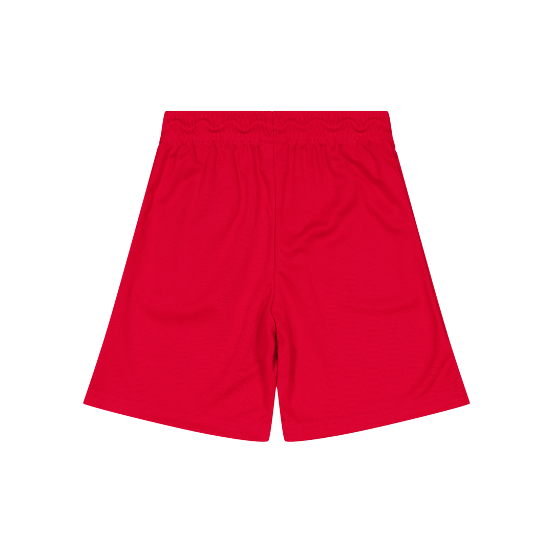 Calções de malha gráfica Essentials Vermelho ginásio