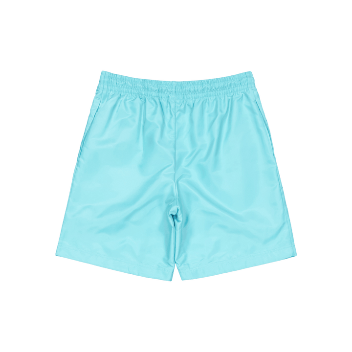 Jumpman Woven Play Short Bleached Aqua