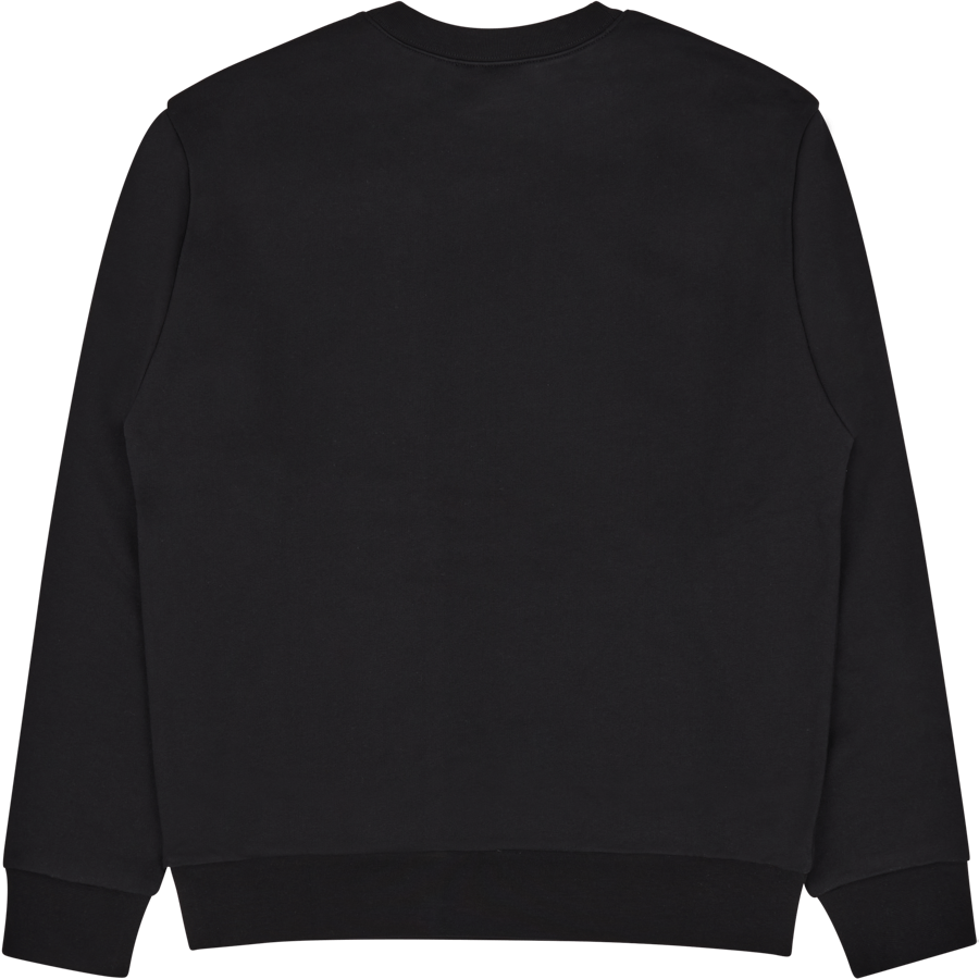 Sweat Steve Lzz