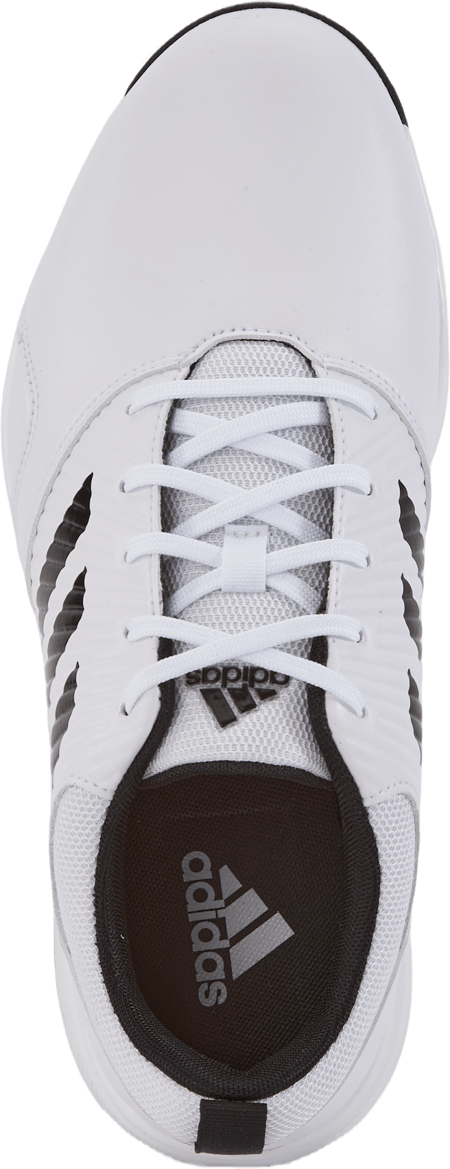 CP Traxion Spikeless Golfschuhe Cloud White / Core Black / Grey Six
