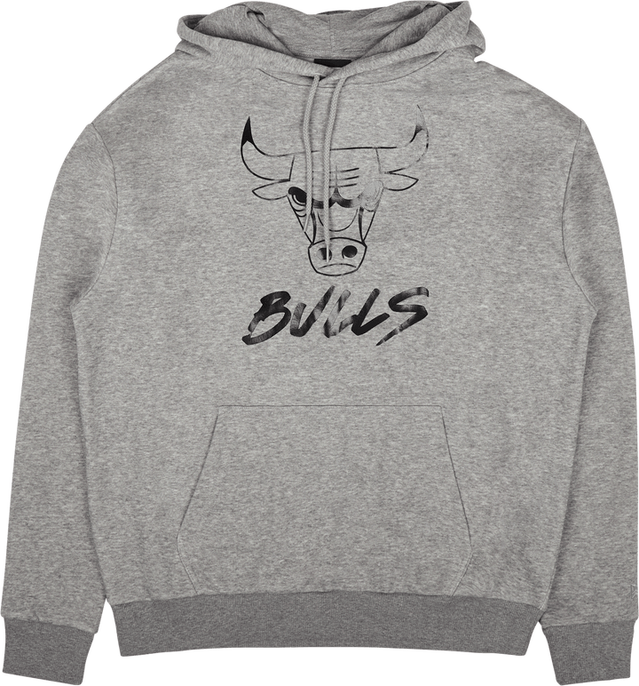 Nba Metallic Po kapuutsiga Chibul Hgrblk