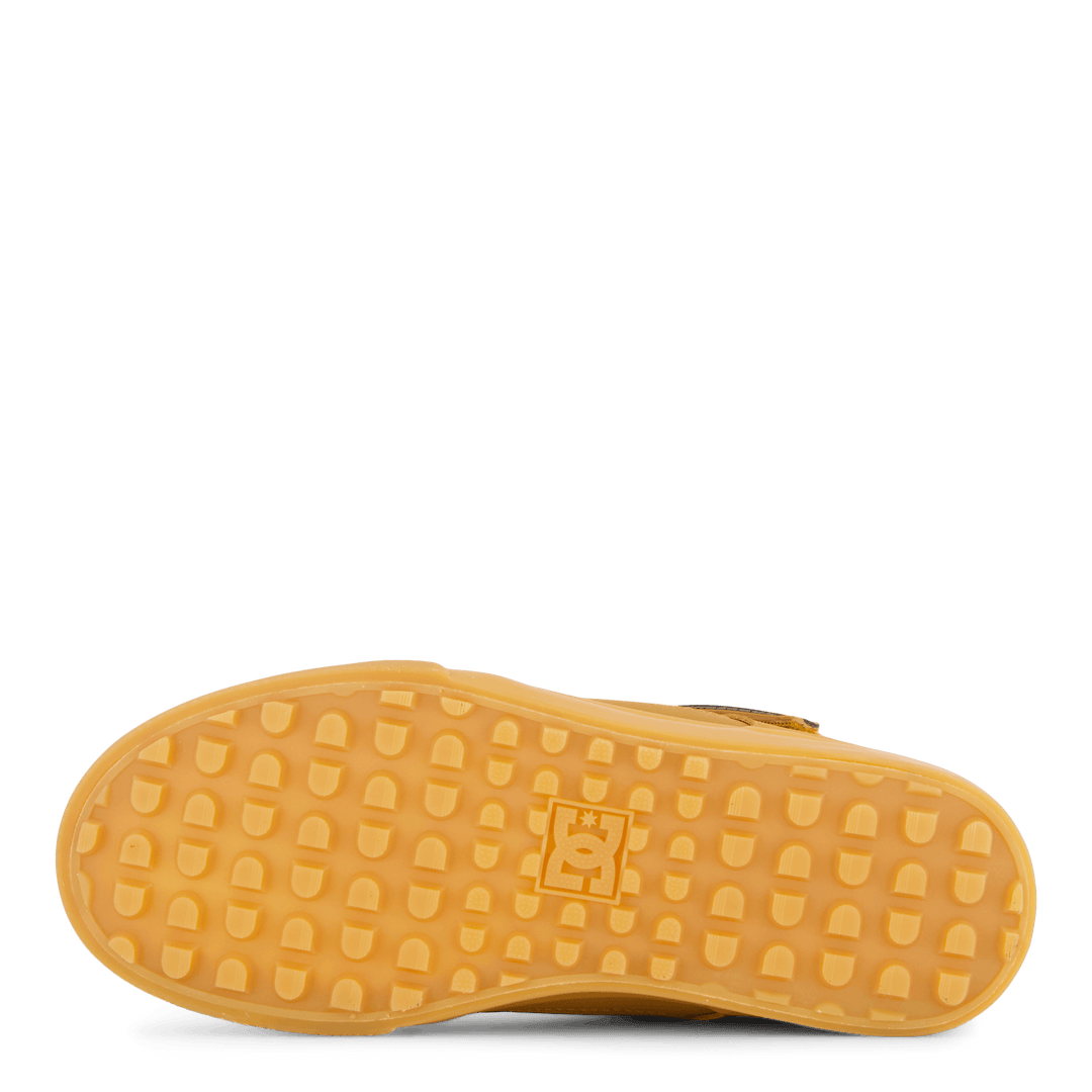 Pure High-top Wnt Ev Wheat