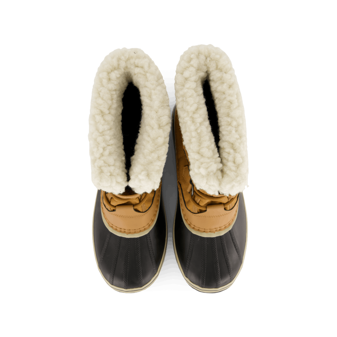 Winter Carnival™ Wp Brown
