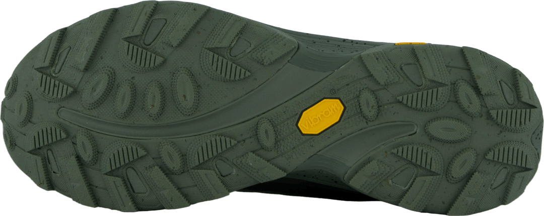 Moab Speed Gtx Se Lichen
