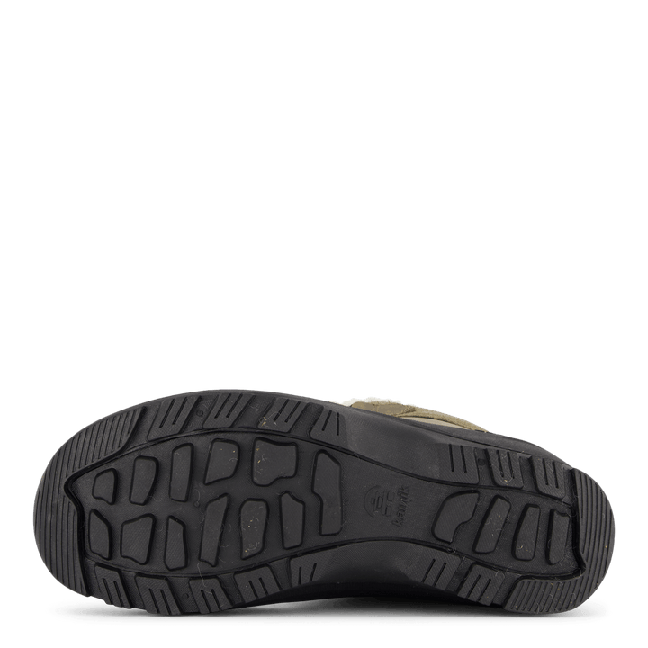 Snowgem Lo Fossil