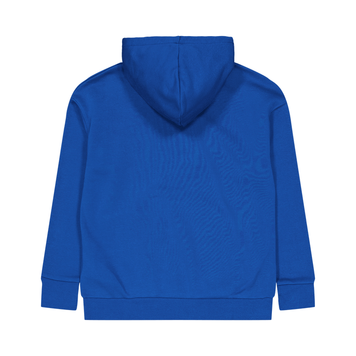 Essential Fleece Hoodie Varsity Blue