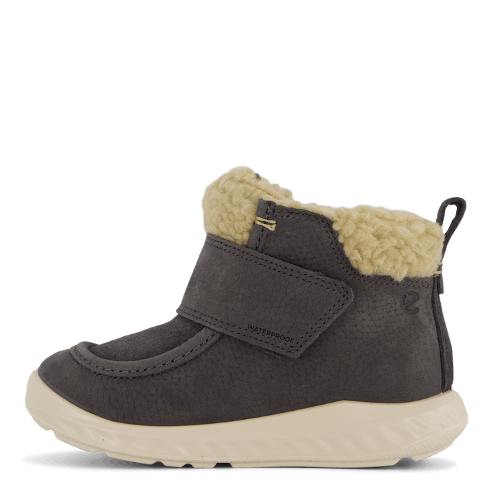 Ecco Sp1 Lite Kleinkind Magnet/Magnet