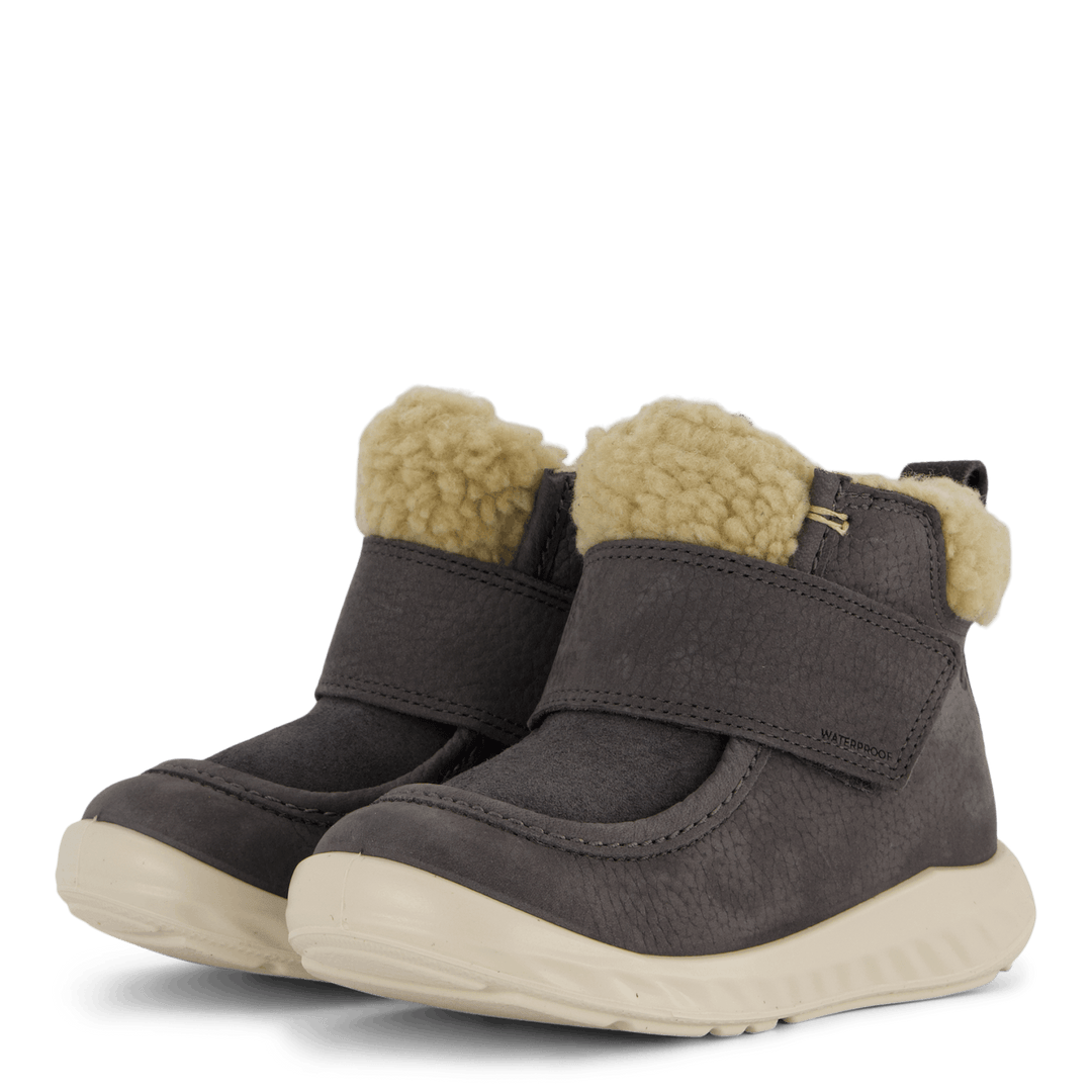 Ecco Sp1 Lite Kleinkind Magnet/Magnet