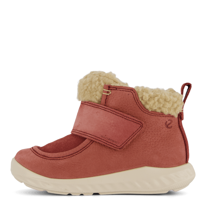 Ecco Sp1 Lite Kleinkind Petal Trim/Petal Trim