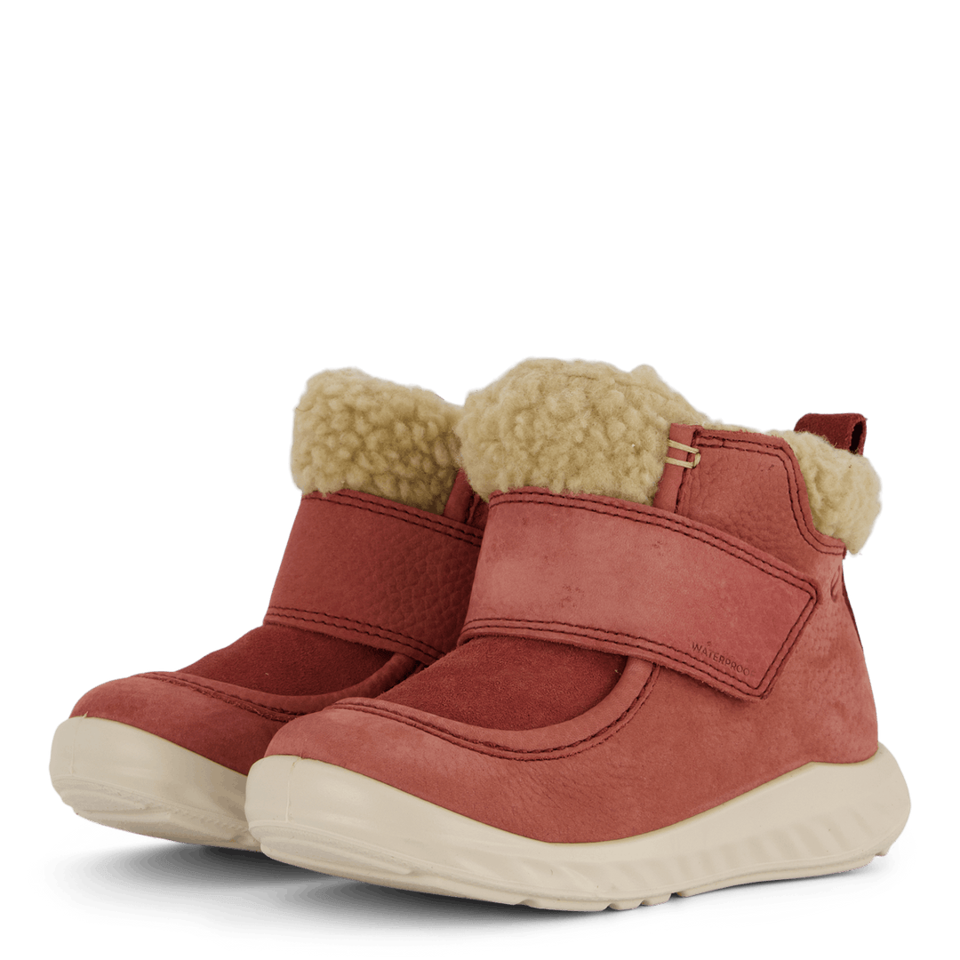 Ecco Sp1 Lite Kleinkind Petal Trim/Petal Trim
