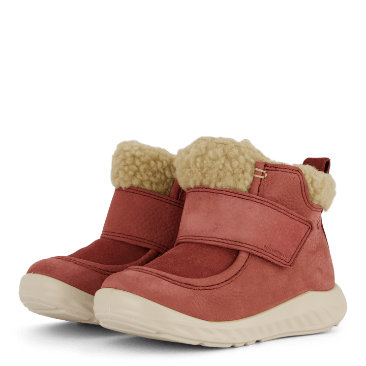Ecco Sp1 Lite Kleinkind Petal Trim/Petal Trim