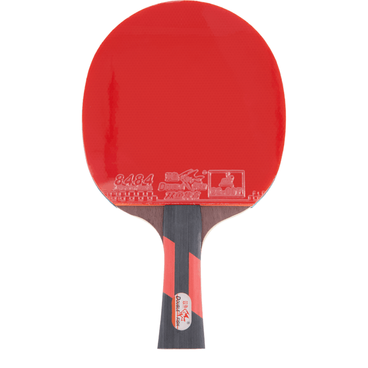 Ck-208 Tournament Table Tennis