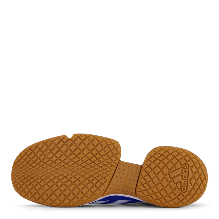 Ligra 7 Indoor Shoes Bright Royal