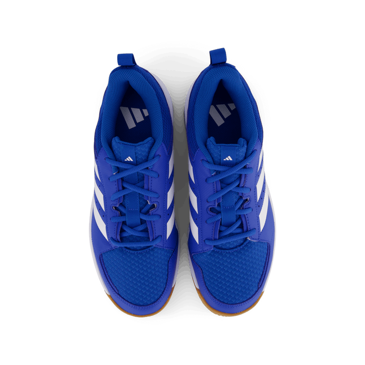 Ligra 7 Indoor Shoes Bright Royal