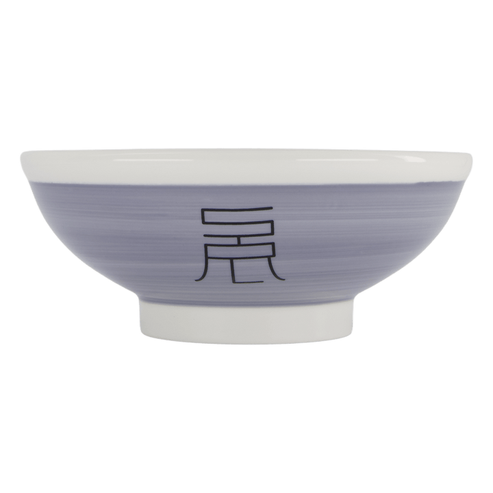 Srl . Noodle Bowl Set Gray