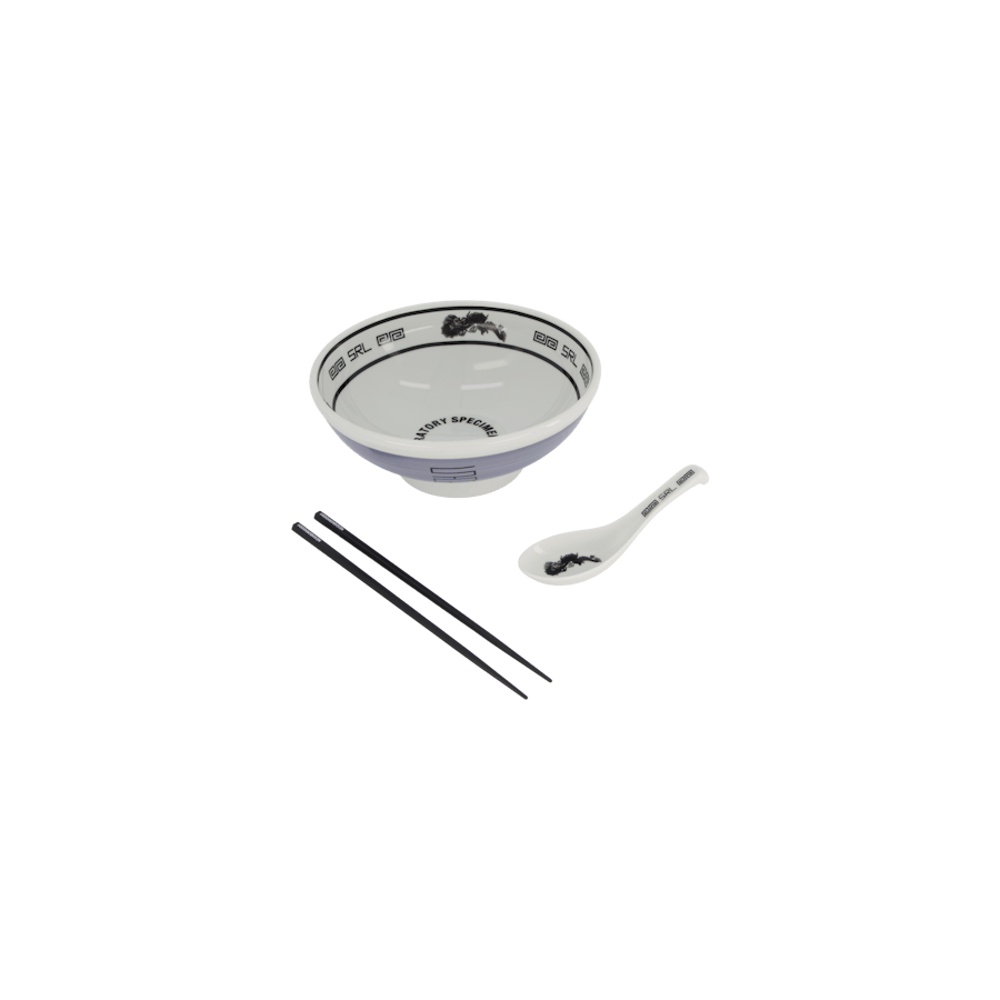 Srl . Noodle Bowl Set Gray