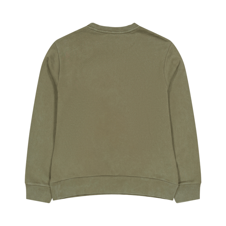 Polo Ralph Lauren Felpa Loopback Terry 005 Canopy Olv