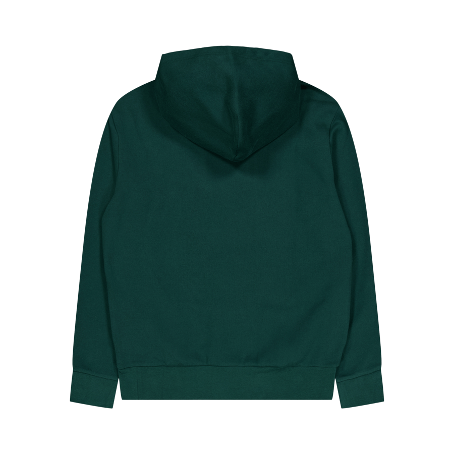 Polo Ralph Lauren Rl Fleece Polo Hoodie 004 Moss Agate