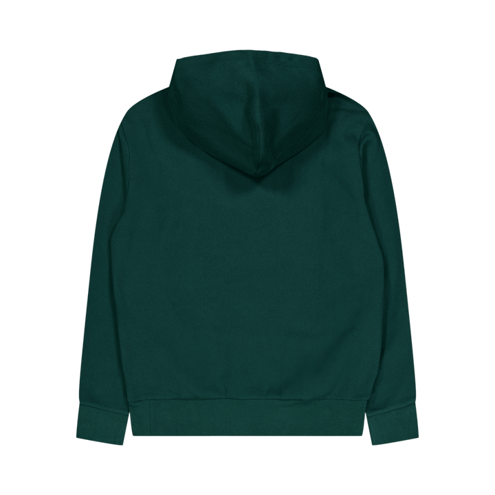 Polo Ralph Lauren Rl Fleece Polo Hoodie 004 Moss Agate