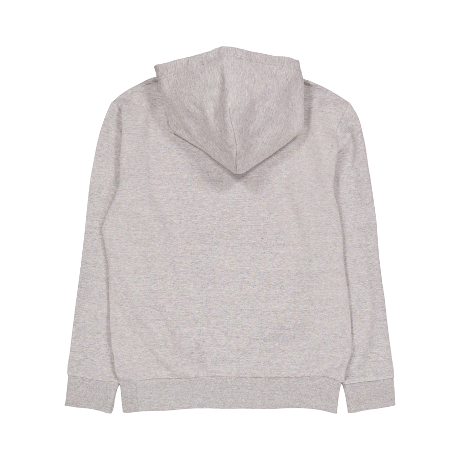 Polo Ralph Lauren Rl Fleece Polo Hoodie 005 Dark Vintage