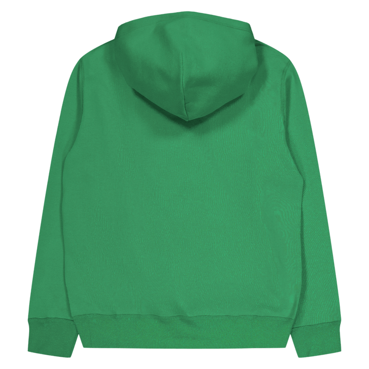 The RL Fleece Hoodie Preppy Green