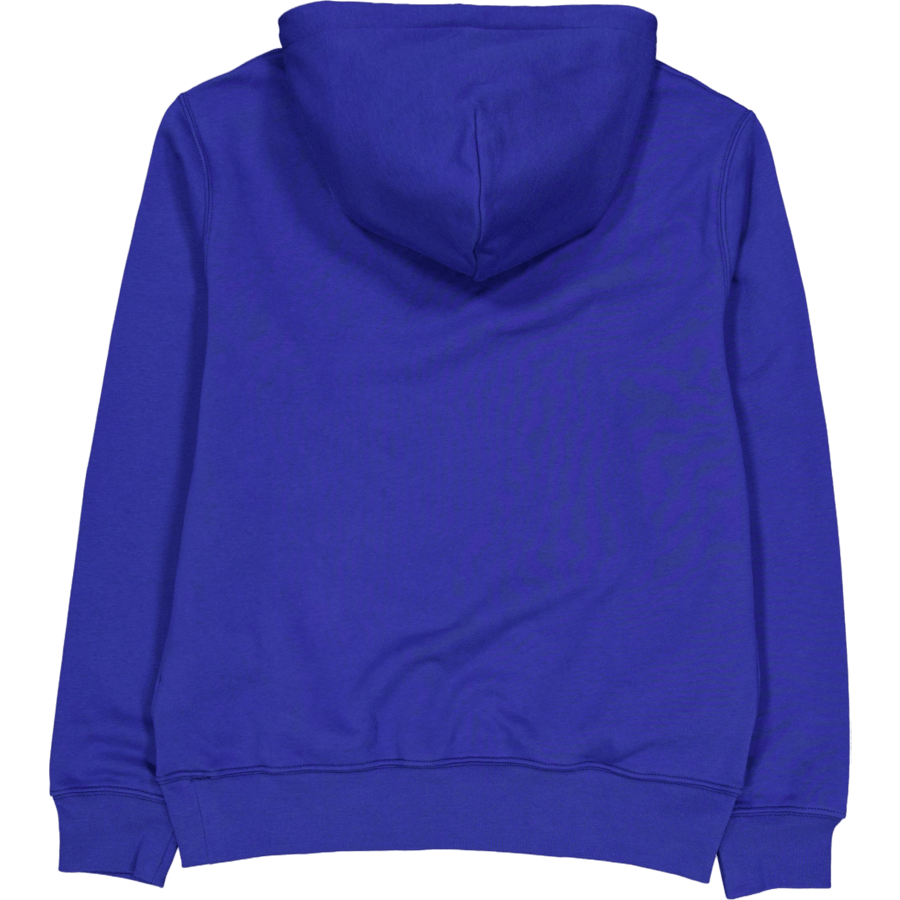 Polo Ralph Lauren Polo Bear Fleece Hoodie Sp24 Beach Royal Hrtg Bear