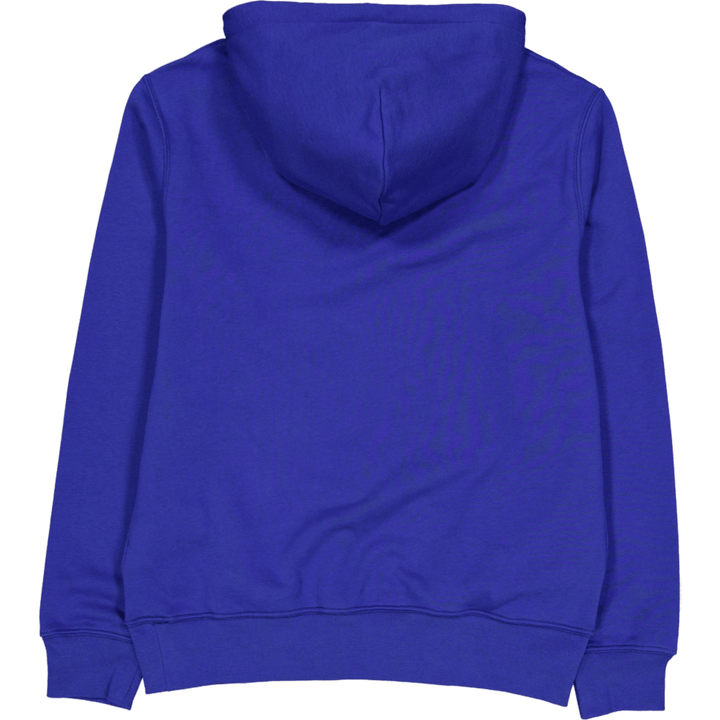 Polo Ralph Lauren Polo Bear Fleece Hoodie Sp24 Beach Royal Hrtg Bear