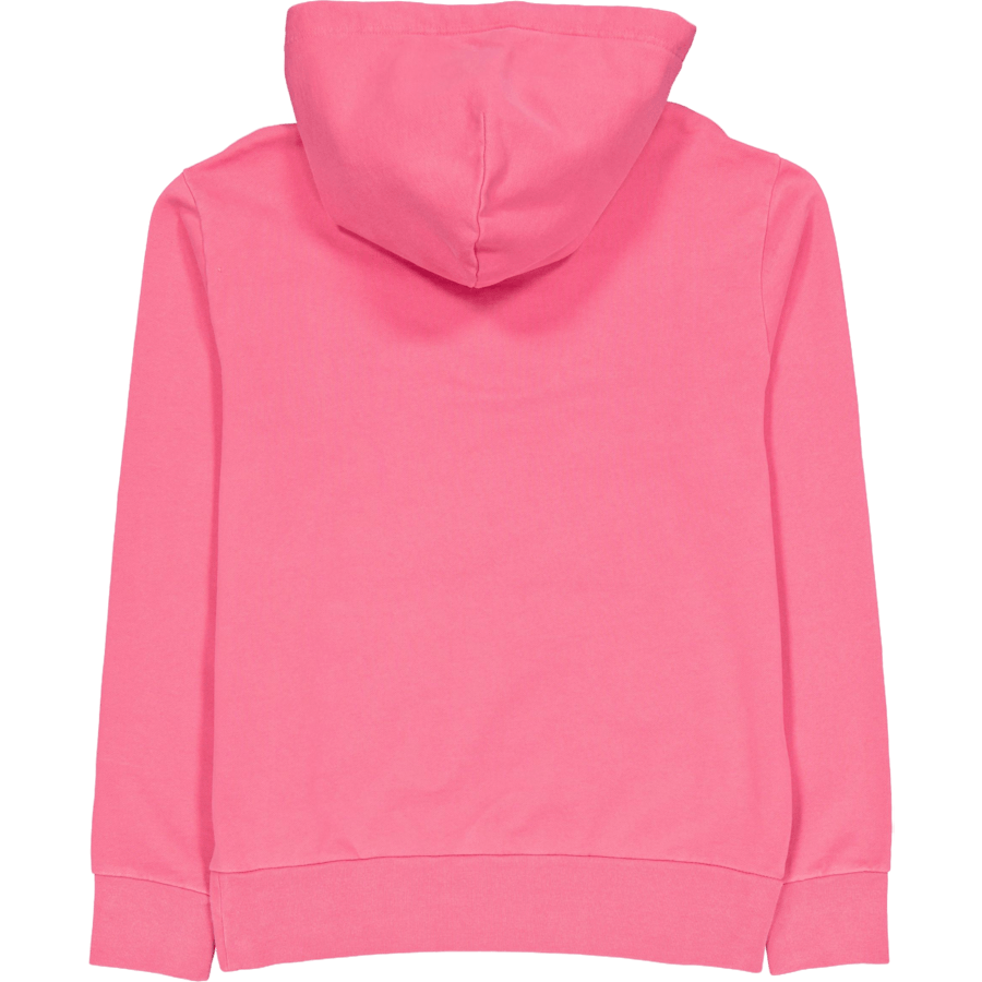 Polo Ralph Lauren Loopback Terry Hoodie