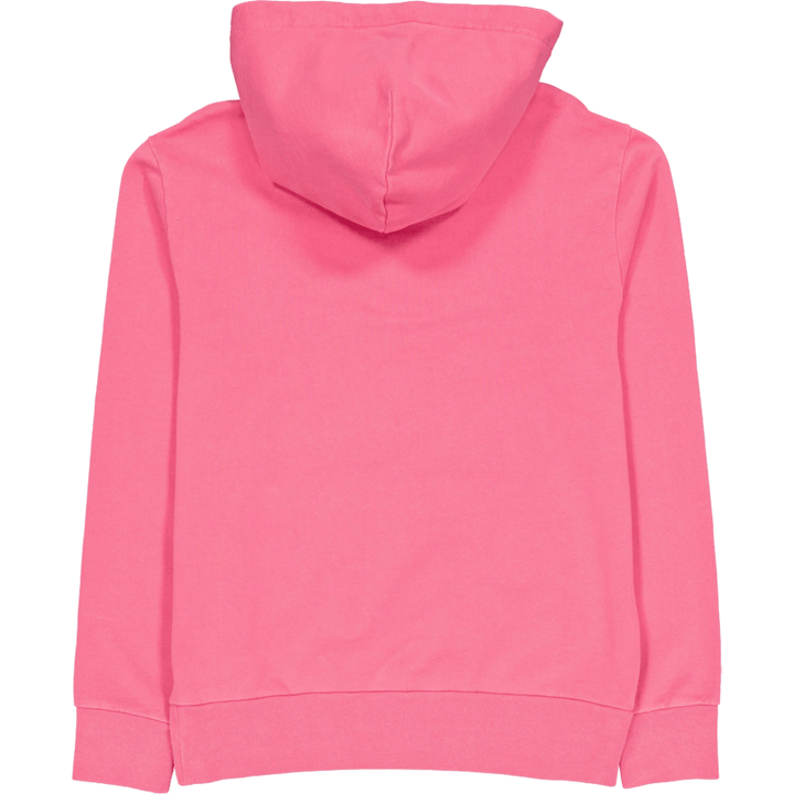 Polo Ralph Lauren Loopback Terry Hoodie