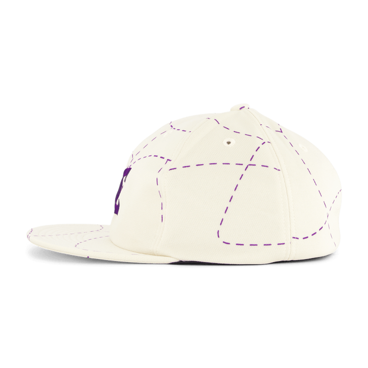Needles X Dc Shoes Baseball Ca Elevandiluu