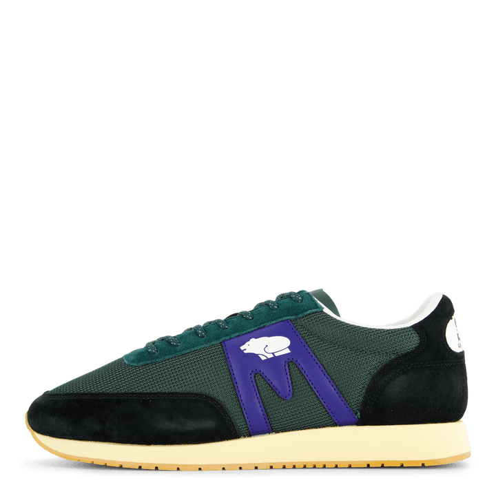Albatross 82 Jet Black/sodalite Blue