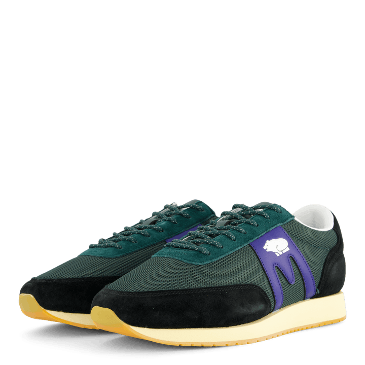 Albatross 82 Jet Black/sodalite Blue