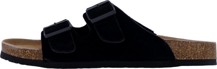 Hc.biom56 Bla