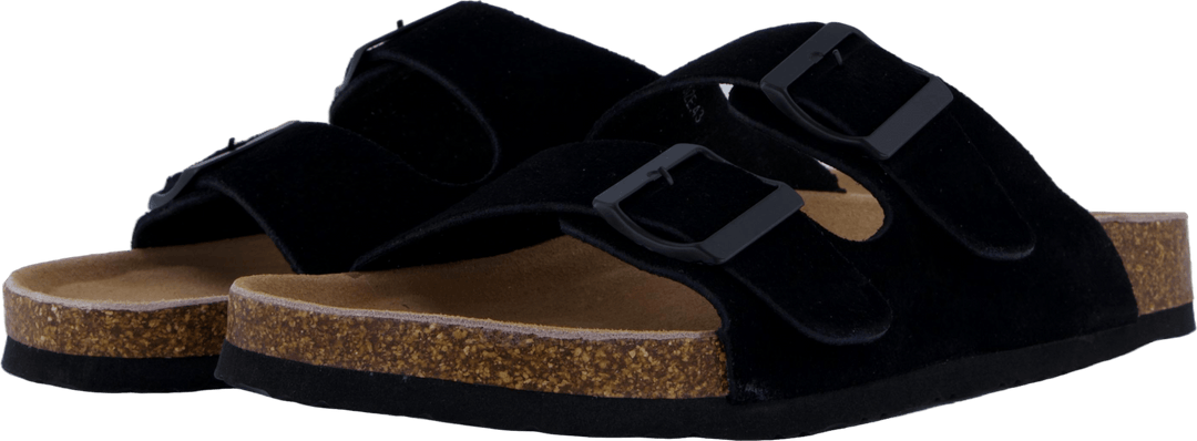 Hc.biom56 Bla