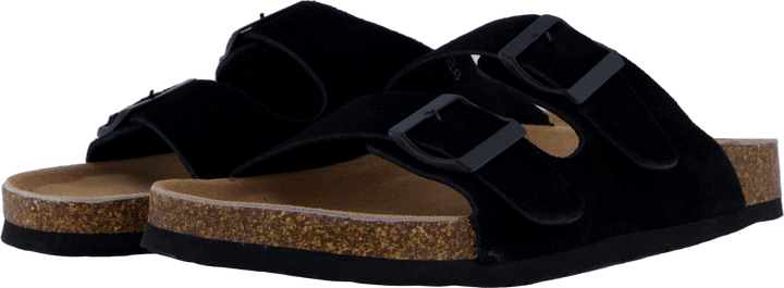 Hc.biom56 Bla