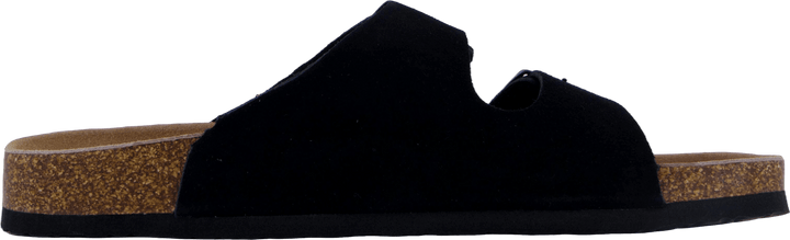 Hc.biom56 Bla