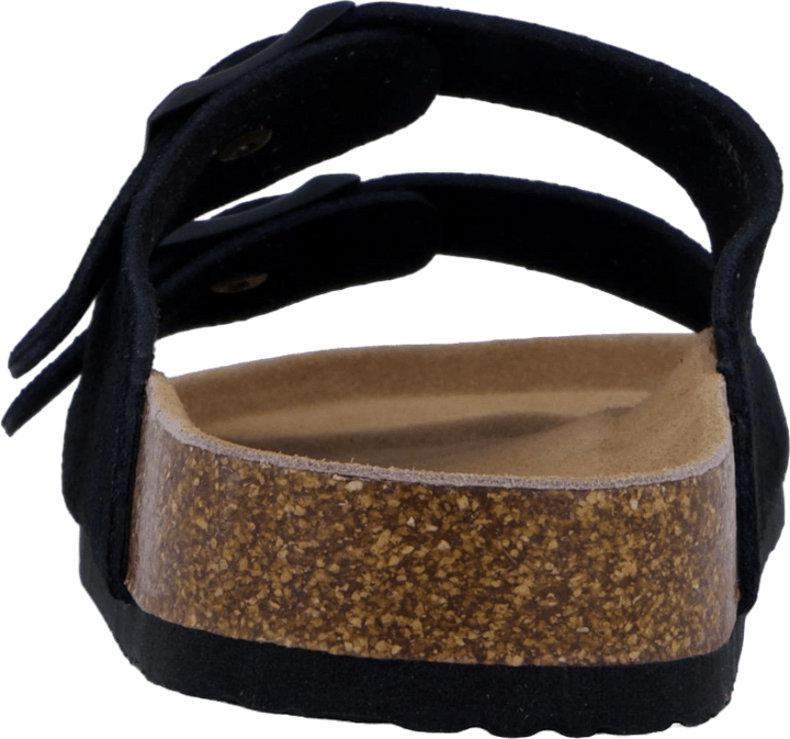 Hc.biom56 Bla