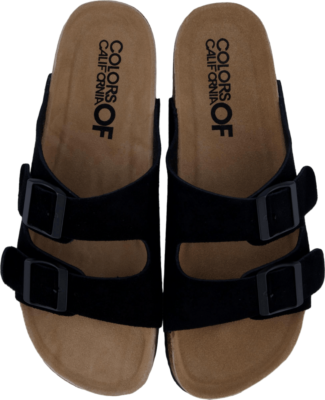 Hc.biom56 Bla
