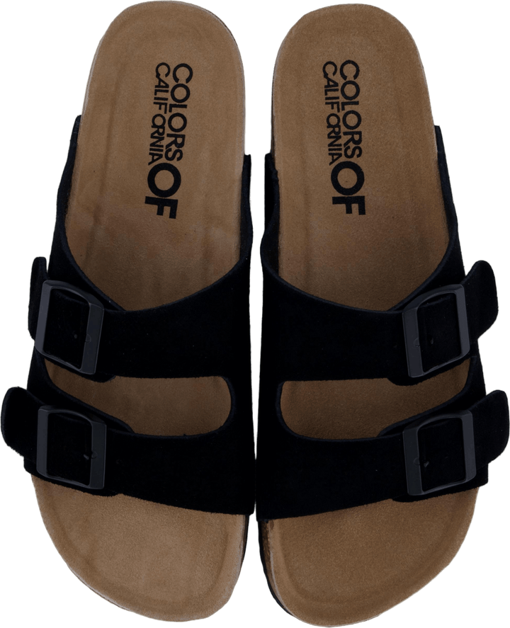 Hc.biom56 Bla